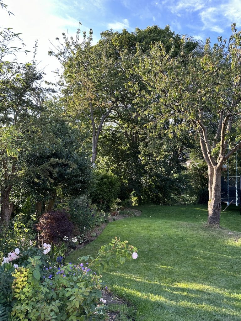 IMG 9782Charlesville large modern light filled house with big garden in north london