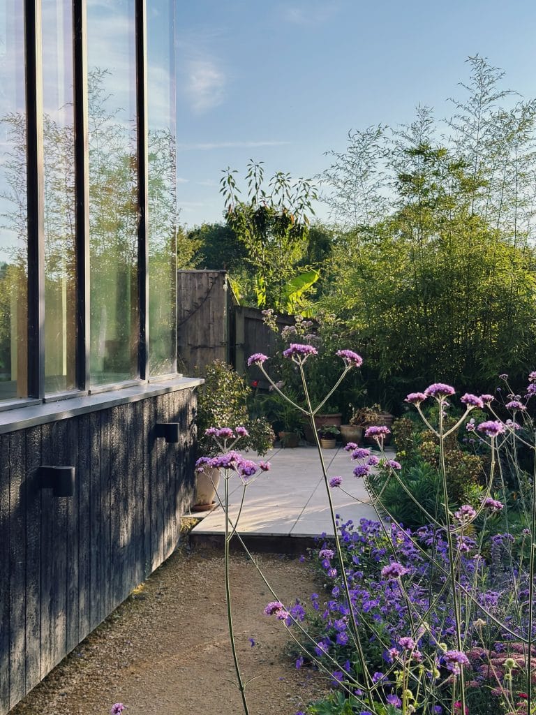 IMG 9785Charlesville large modern light filled house with big garden in north london
