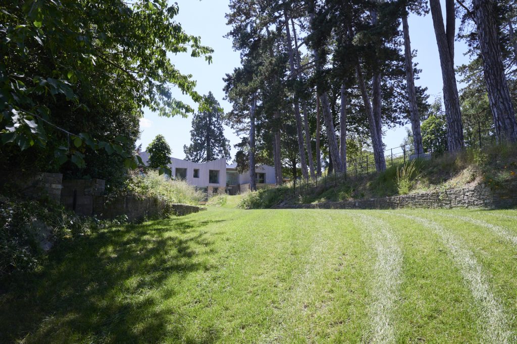 a large green field with trees in the background