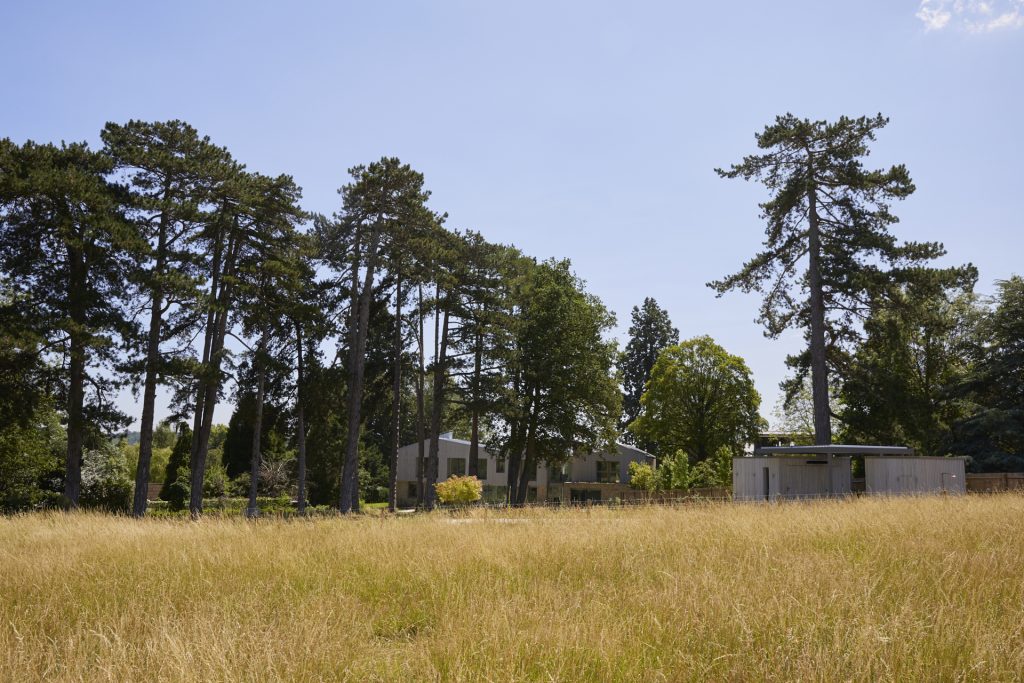 a large tree in a field