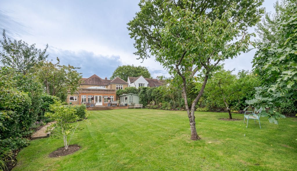 a tree in front of a house