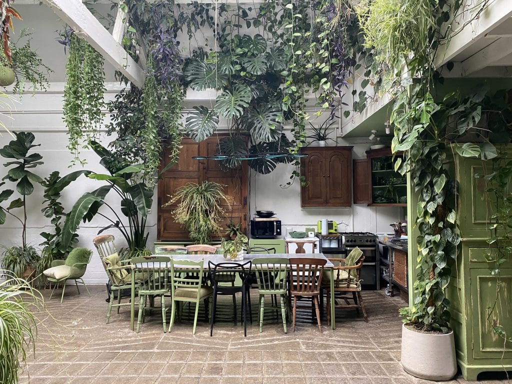 CLAPTON BOTANICAL IMG_1515