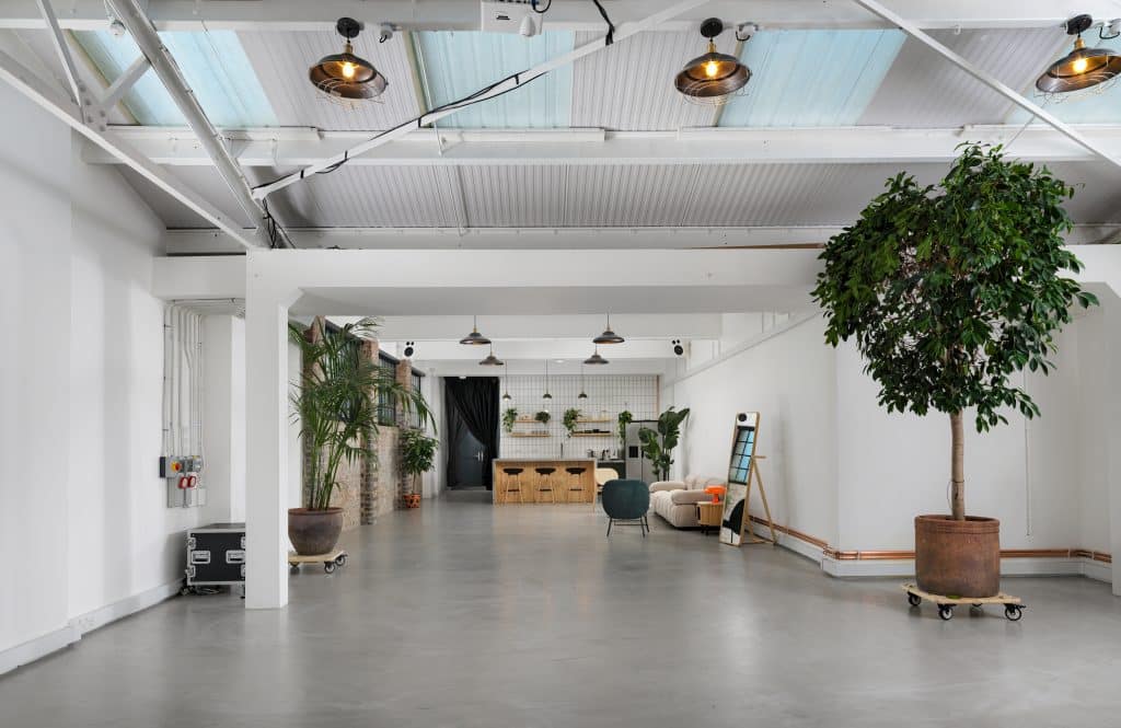 INTERLUDE Yellow_Cactus_B_B_11920 (3)