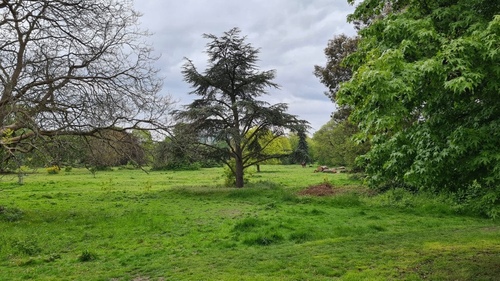 GUNNERSBURY20210525_105007