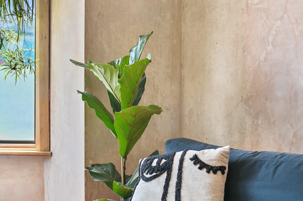 FOREST GATE PLACE LivingRoom_e