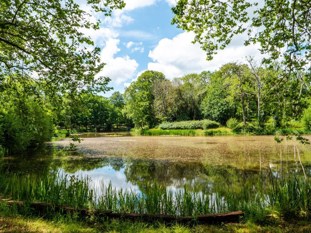 grade ii listed hampshire school shoot location St Edward’s School – Lake(21)