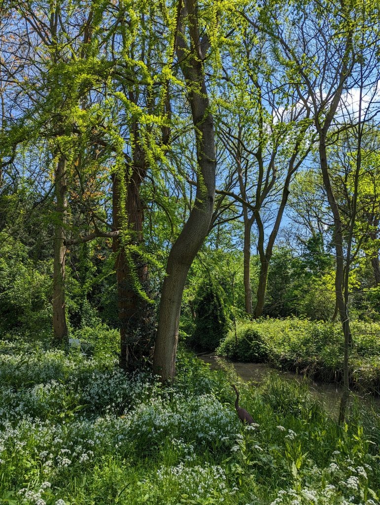 SHEPPERTON MANOR 15th century manor house SHOOT LOCATIONPXL_20240507_114107483