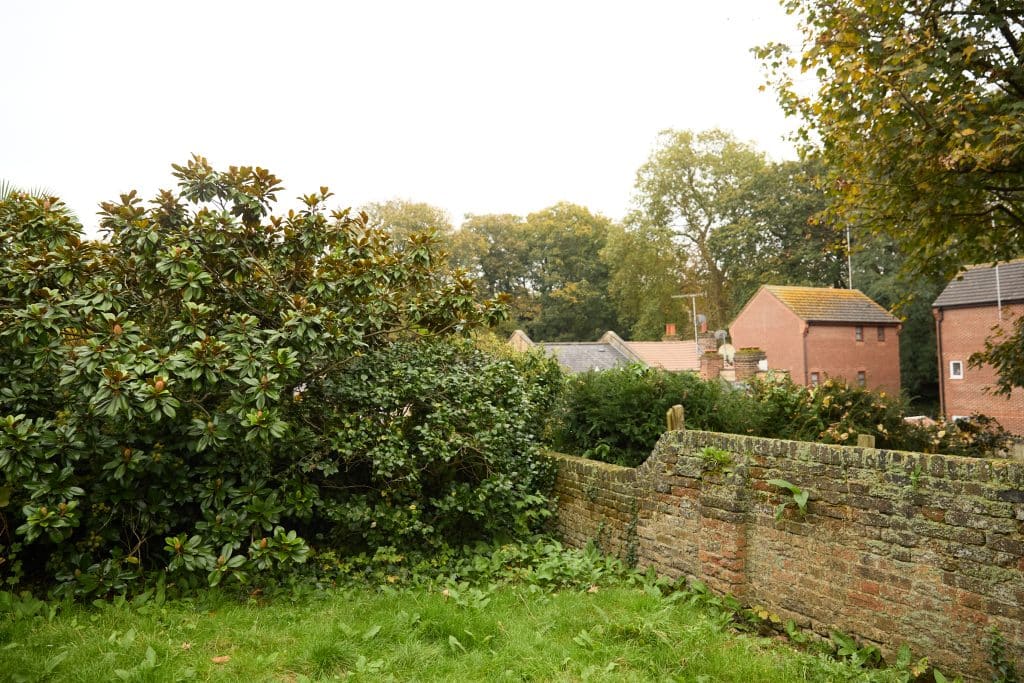 BURRAGE Woolwich victorian retro shoot location 10_Back-Garden_03