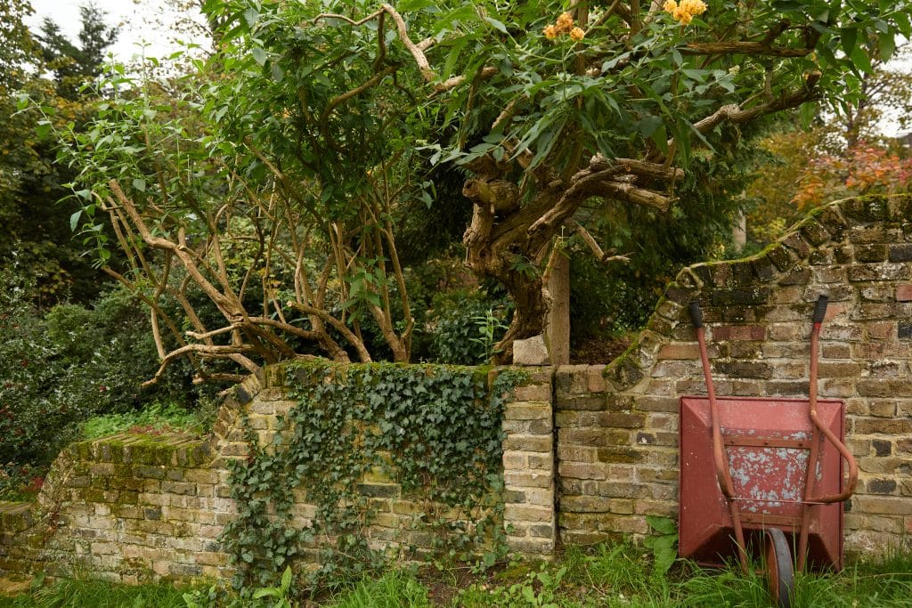 BURRAGE Woolwich victorian retro shoot location 10_Back-Garden_04