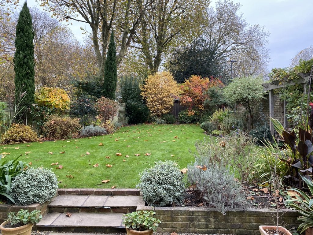 HERTFORD detached south west london everyday location house Photo 16-11-2024, 11 46 46