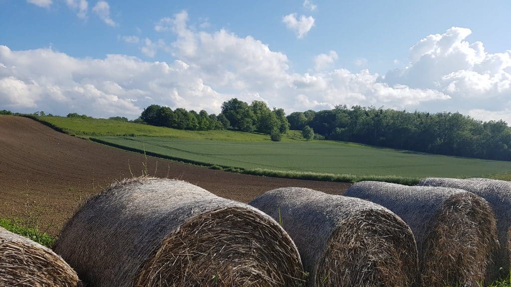 CAINHOE 16th century Grade II listed country house bedfordshire shoot location 20190615_175150