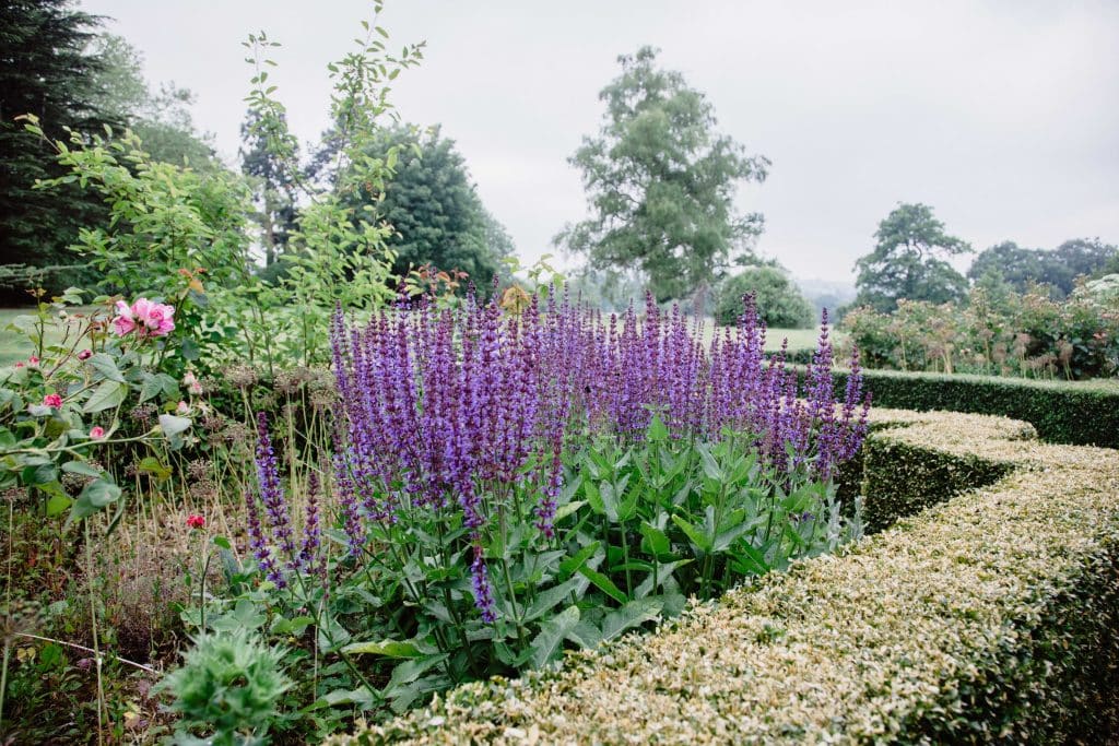 FLORE English country location house northampton FloreHouse-3