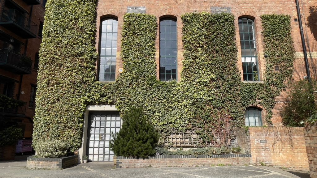 DOG FACTORY architect designed modern townhouse east london shoot location IMG 6076