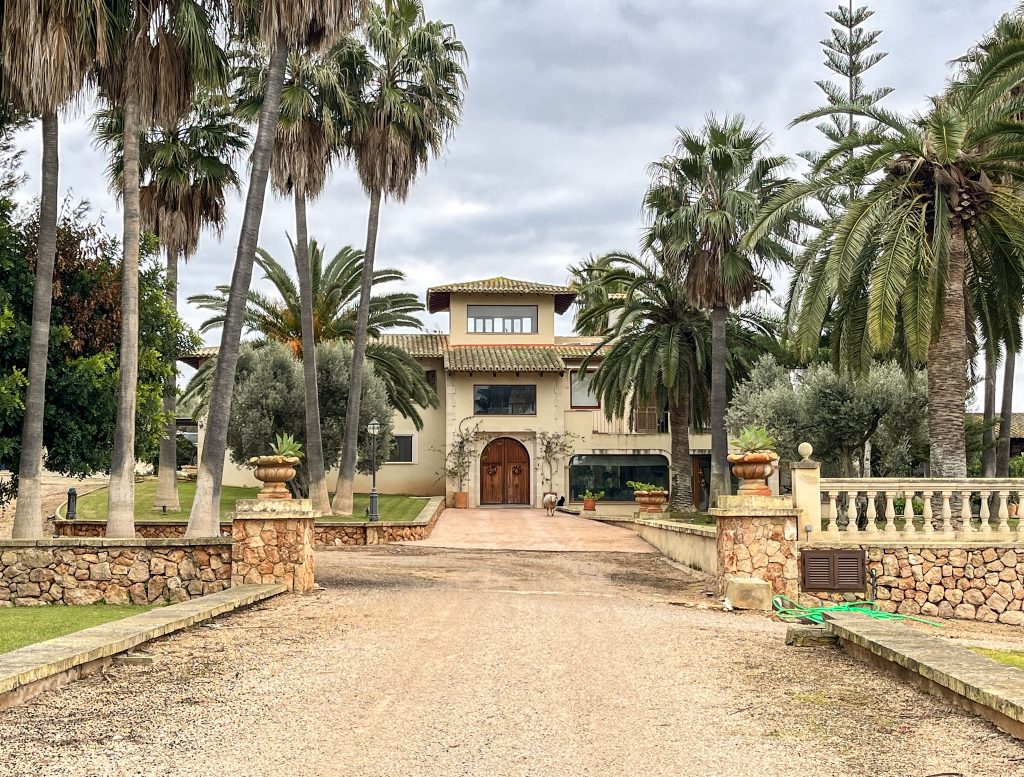 LOCATION 4 mallorca spain 70s palm tree tropical location house 26-IMG_7937