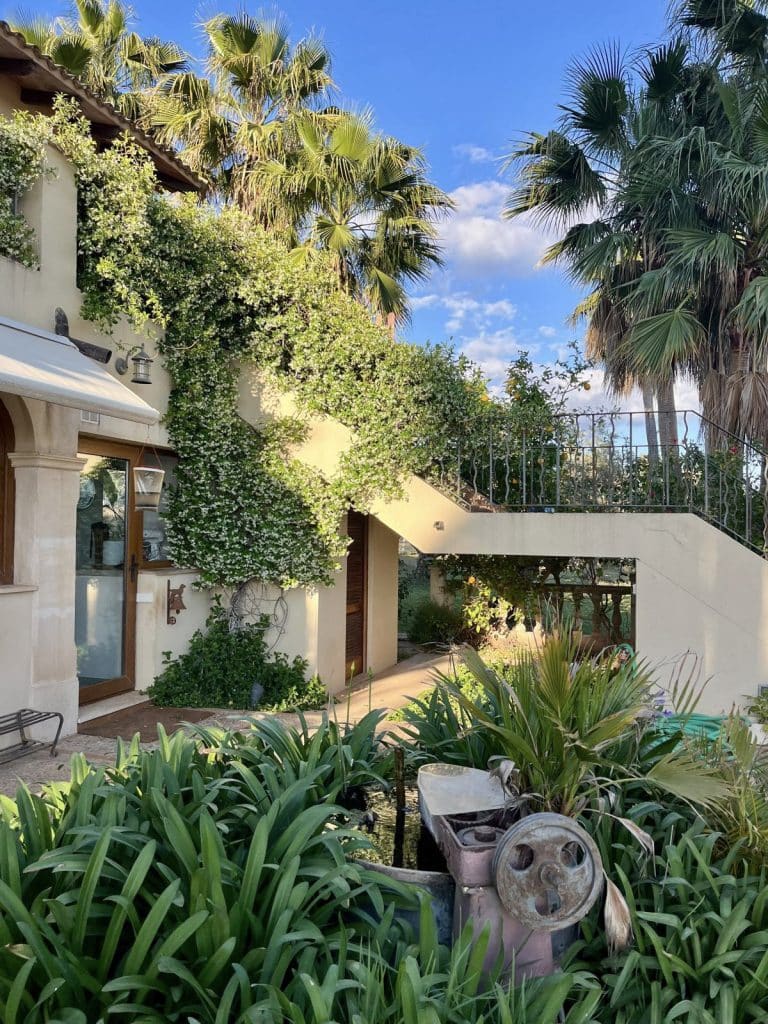 LOCATION 4 mallorca spain 70s palm tree tropical location house IMG_7941