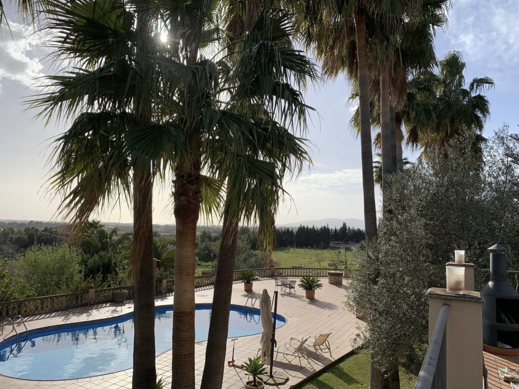 LOCATION 4 mallorca spain 70s palm tree tropical location house IMG_7945