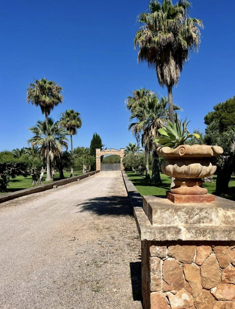 LOCATION 4 mallorca spain 70s palm tree tropical location house IMG_7947