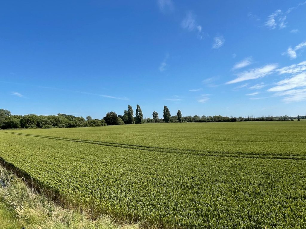 RECTORY FARM country barn farm shoot location Chichester748dc458 35d8 4391 9c9e 14c9435702ad