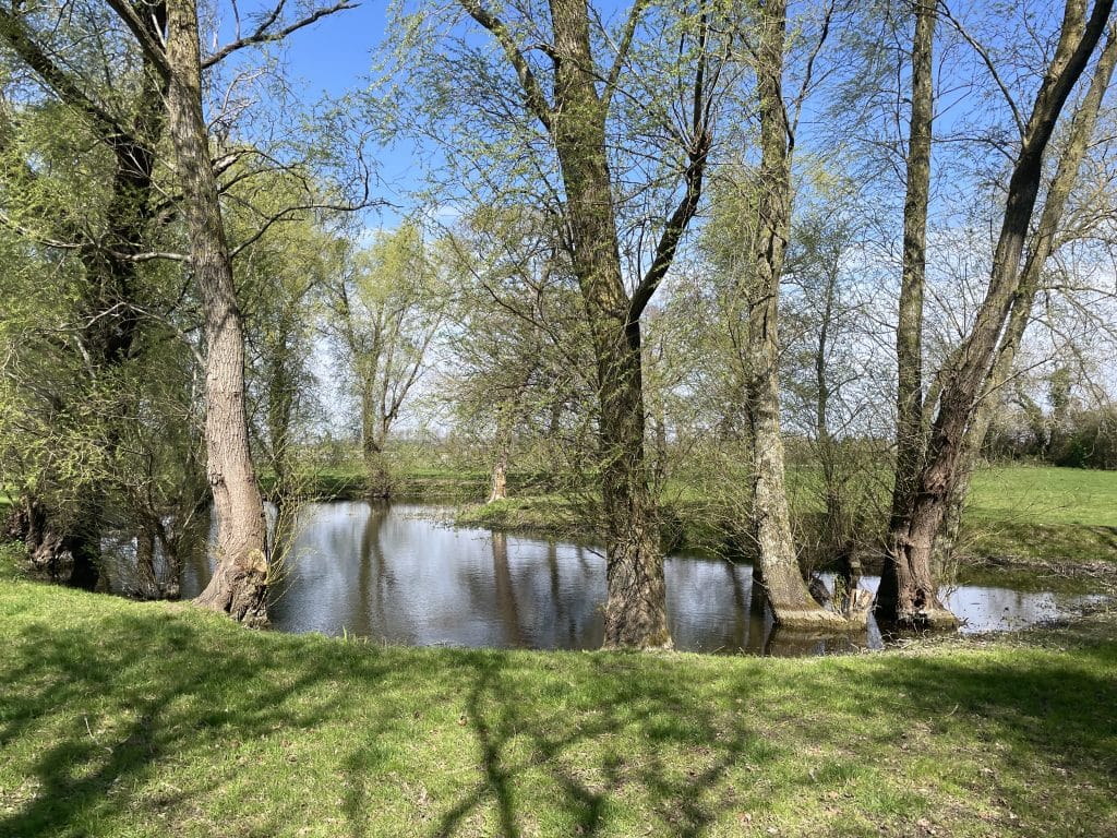 RECTORY FARM country barn farm shoot location ChichesterIMG 6765