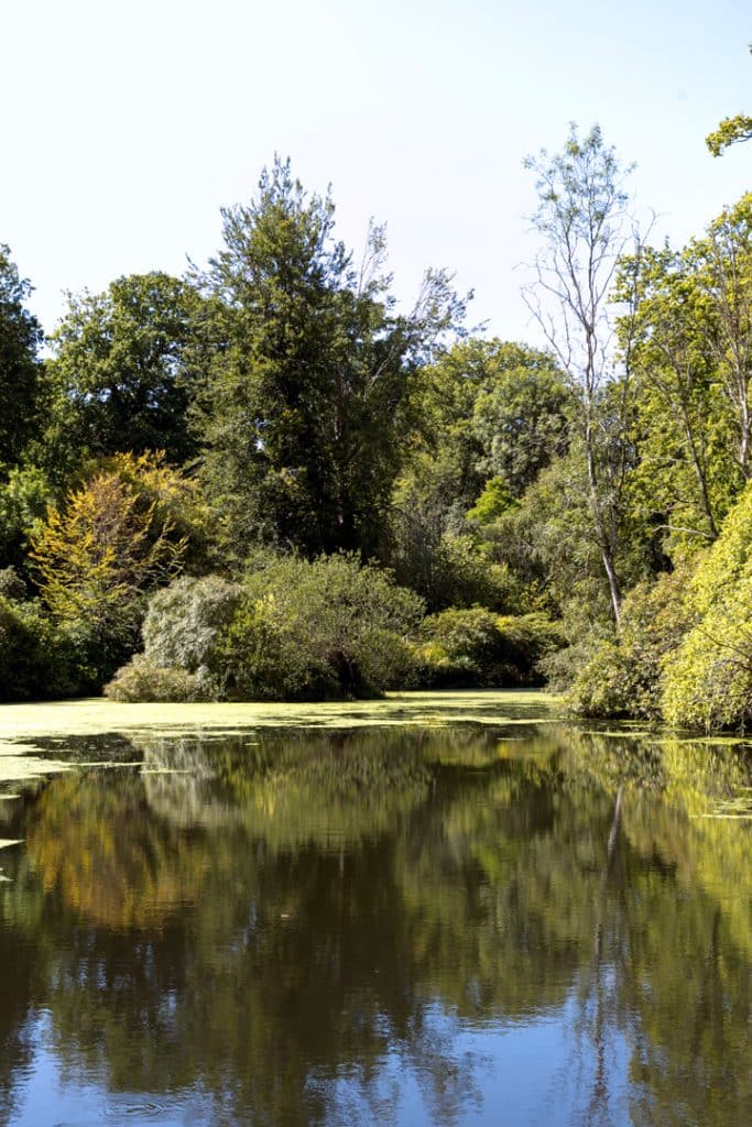 Manor house shoot locationStonewall Park 056