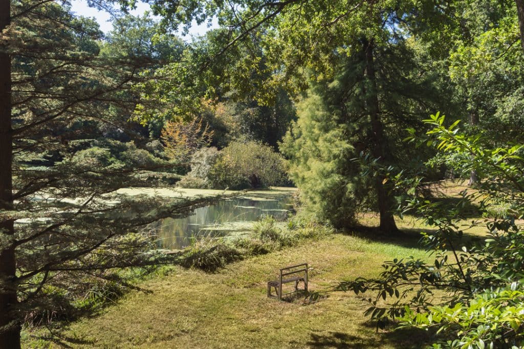 Manor house shoot locationStonewall Park 057