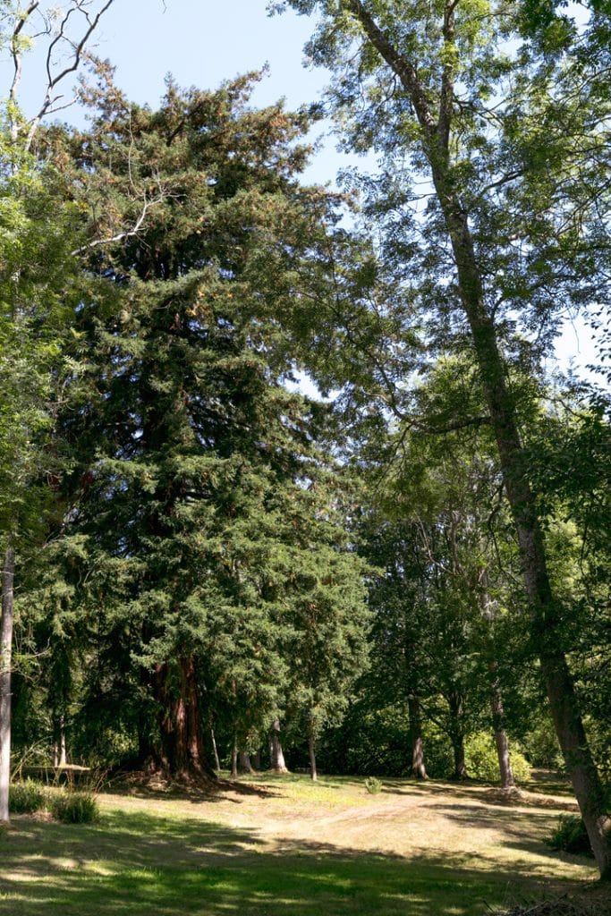 Manor house shoot locationStonewall Park 058