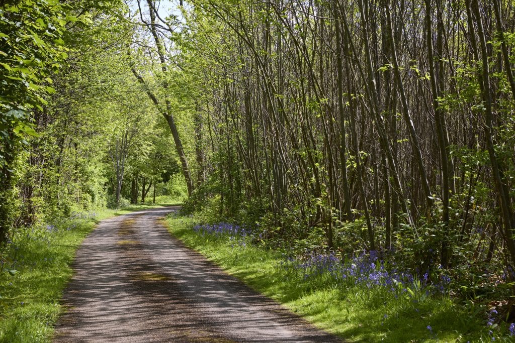 Marice Kendrick, Boughton Monchelsea Place, Maidston