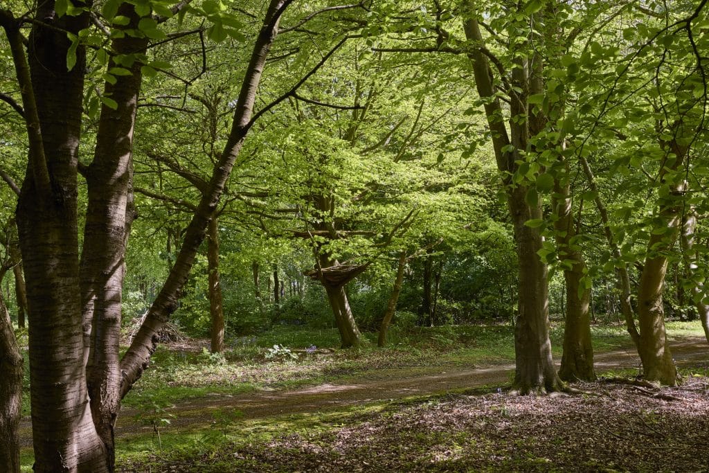 Marice Kendrick, Boughton Monchelsea Place, Maidston