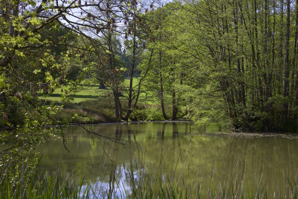 Marice Kendrick, Boughton Monchelsea Place, Maidston