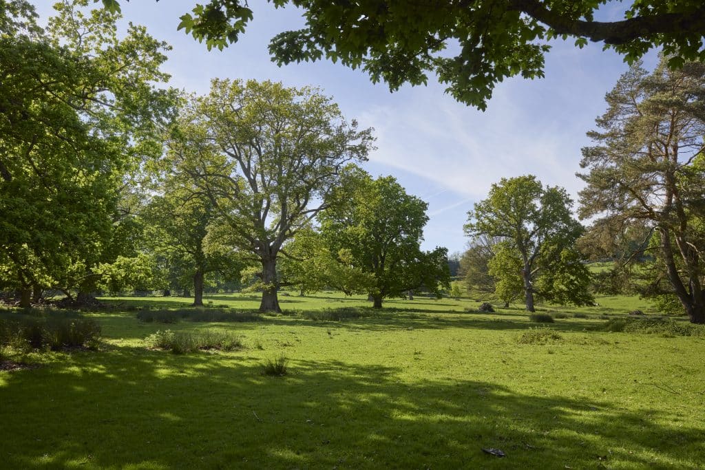 Marice Kendrick, Boughton Monchelsea Place, Maidston