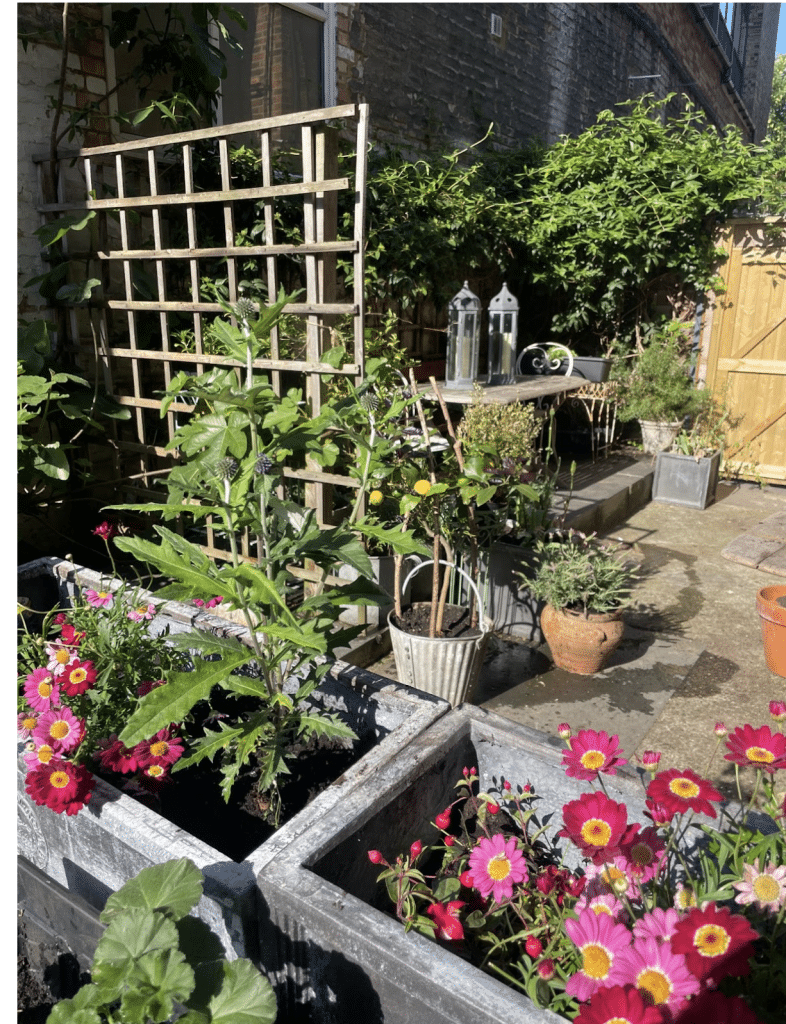 KINNOULL east london everyday apartment flat shoot location Screenshot 2025 10 23 at 13.43.19