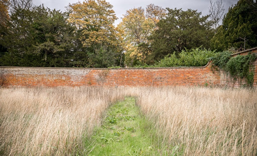 THE WALLED GARDEN cobham country shoot location Location Creation The Walled Garden wall 3