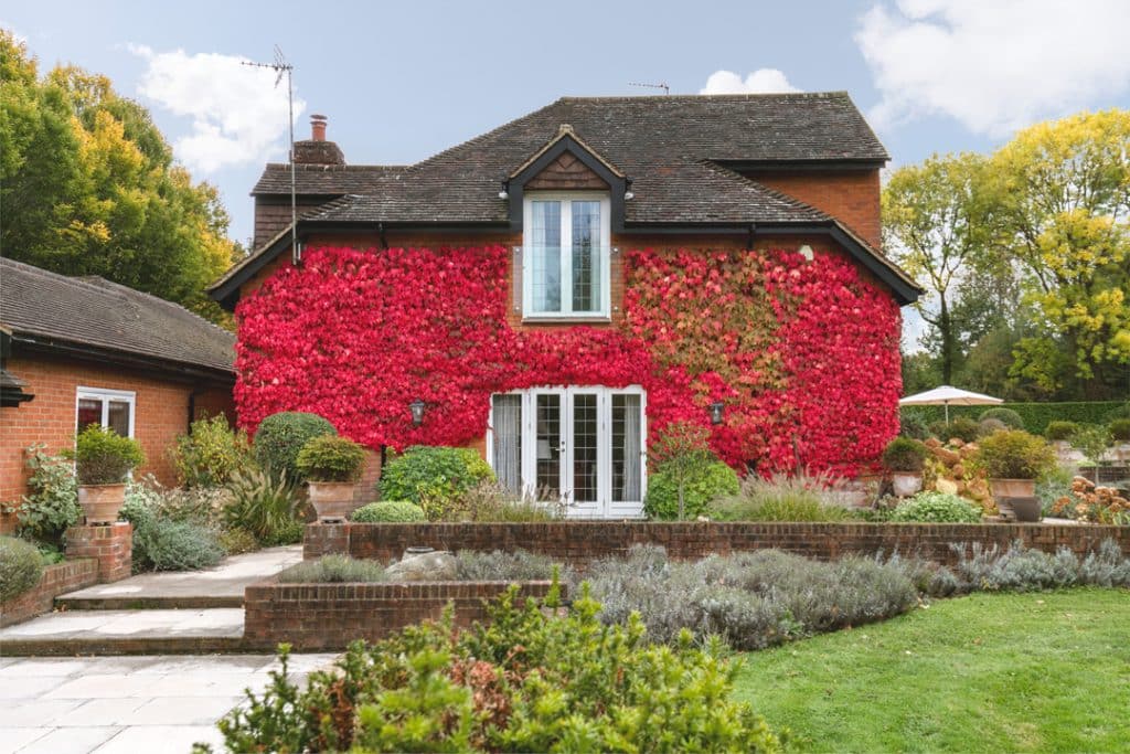 VINE HOUSE guildford eight bedroom location house Vine house, coombe lane, Guildford, GU3 3PF 009