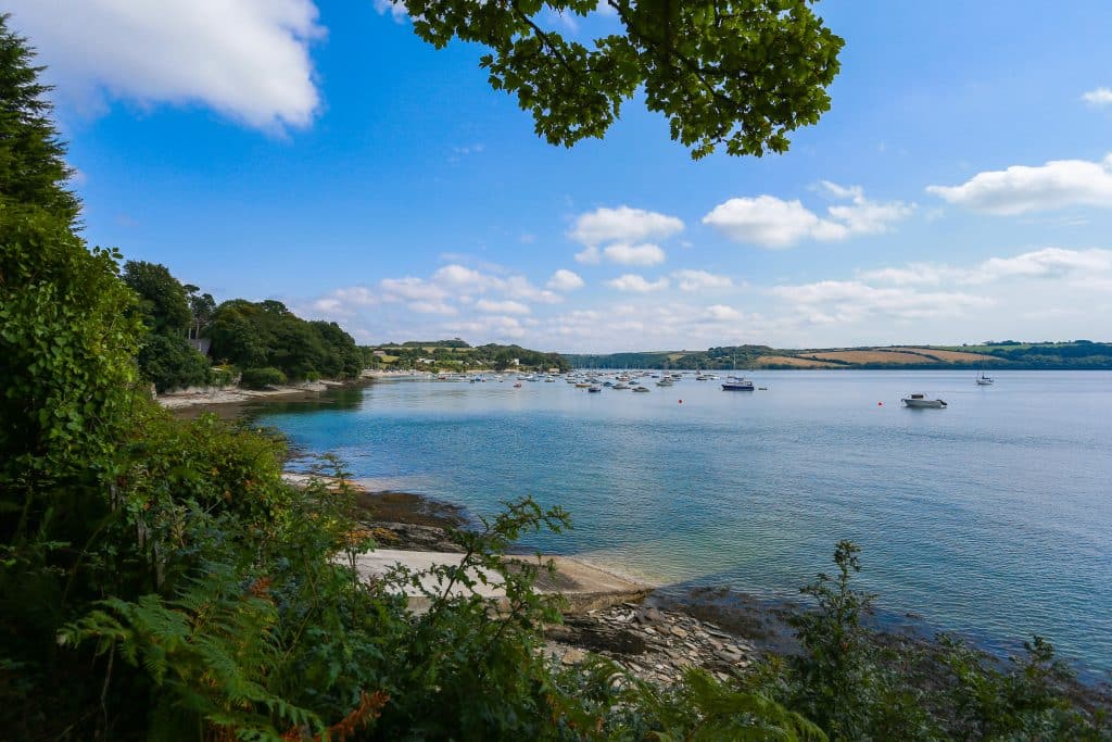 THE BEECHES cornwall large location house sea views 23. Hugh Hastings The Beeches Restronguet Point Feock Aug 2018 - INSIDE FRONT COVER BOTTOM LEFT