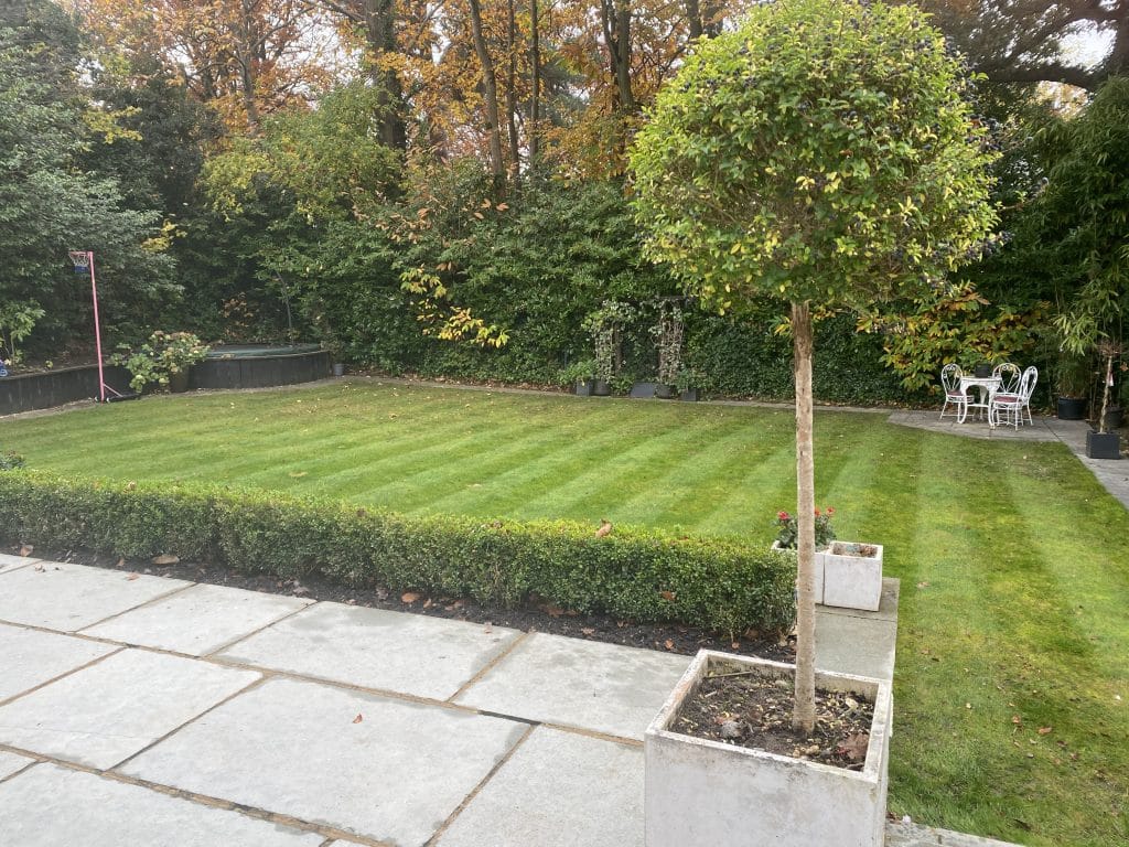 BLUE SHUTTER HOUSE hampshire bright modern location house 060 BackGarden