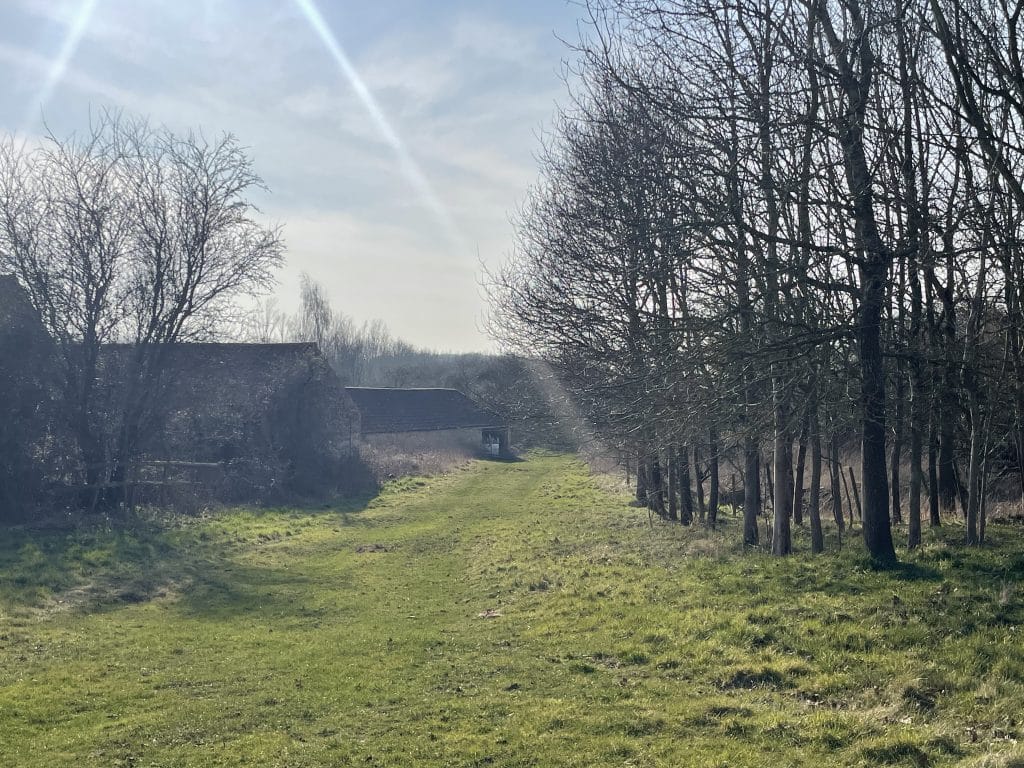 BULWICK ESTATE northamptonshire country large shoot location IMG 2681
