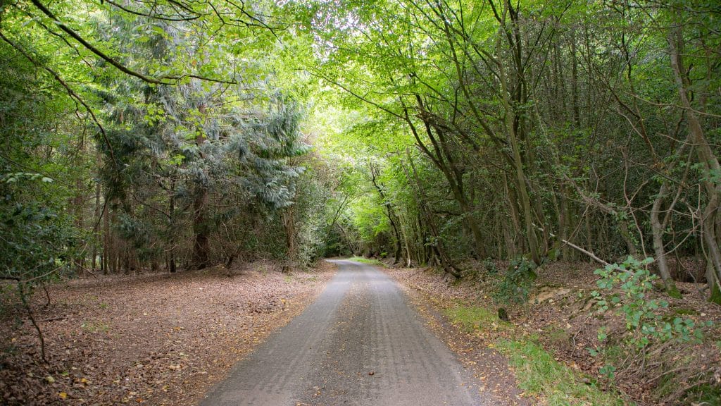 Berkhamsted Estate - Multi use film site - build space, unit base, private roads 1
