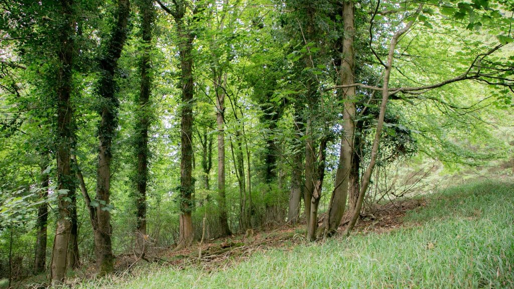 Berkhamsted Estate - Multi use film site - build space, unit base, private roads 1