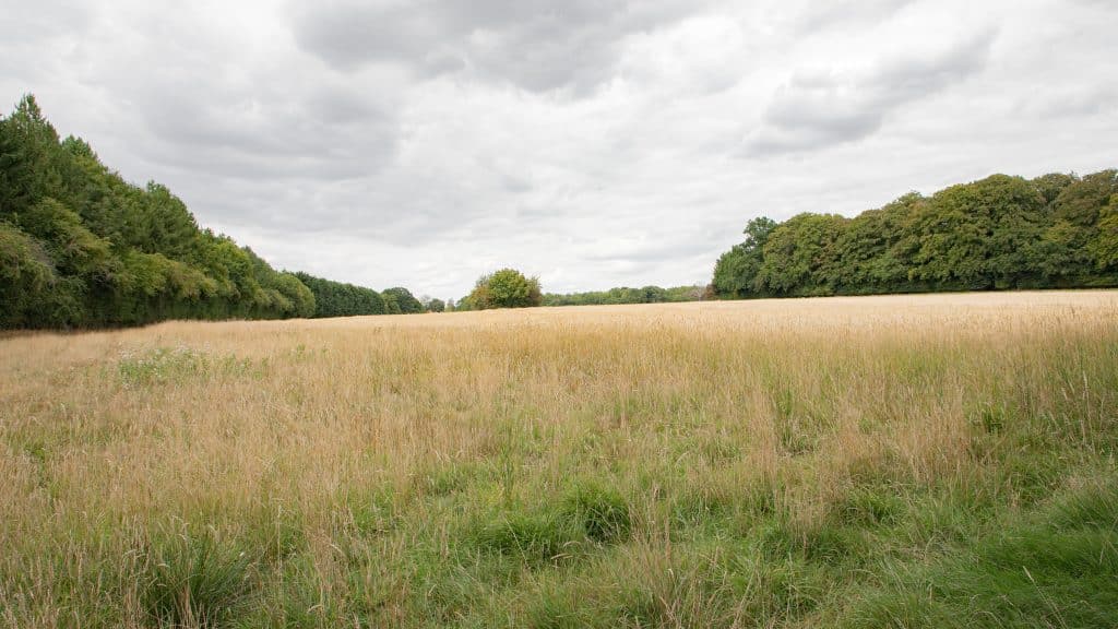 Berkhamsted Estate - Multi use film site - build space, unit base, private roads 1