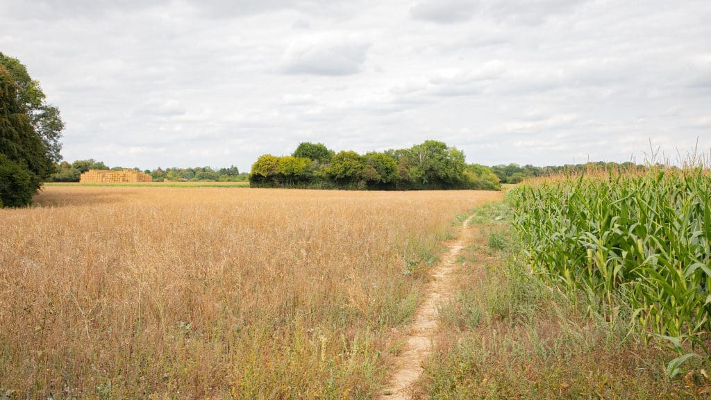 Berkhamsted Estate - Multi use film site - build space, unit base, private roads 1