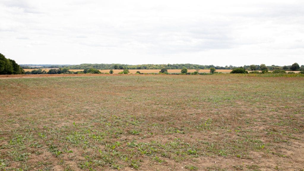 Berkhamsted Estate - Multi use film site - build space, unit base, private roads 1