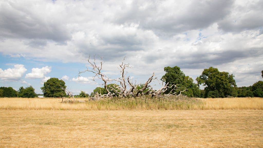 Berkhamsted Estate - Multi use film site - build space, unit base, private roads 18