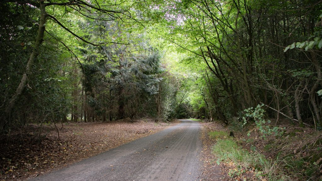 Berkhamsted Estate - Multi use film site - build space, unit base, private roads 2