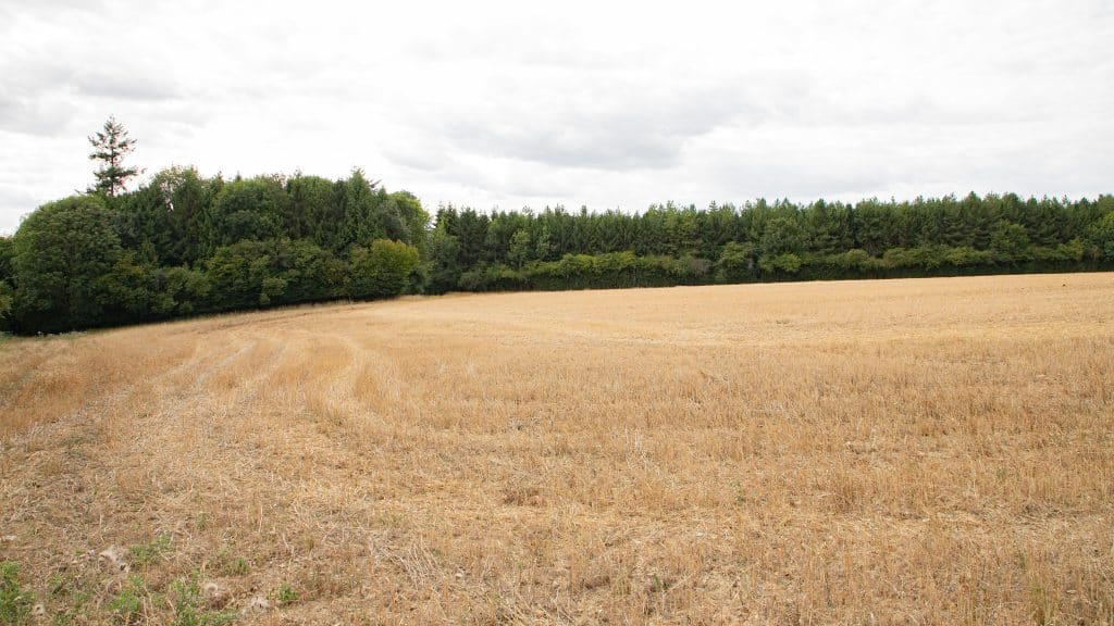 Berkhamsted Estate - Multi use film site - build space, unit base, private roads 2