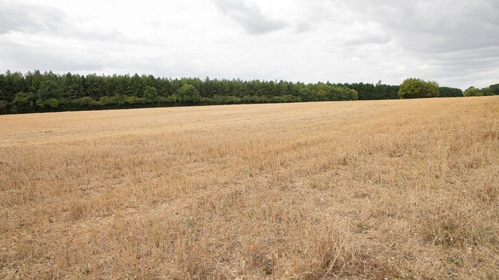 Berkhamsted Estate - Multi use film site - build space, unit base, private roads 3