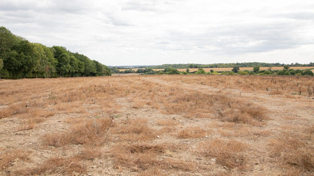 Berkhamsted Estate - Multi use film site - build space, unit base, private roads 3