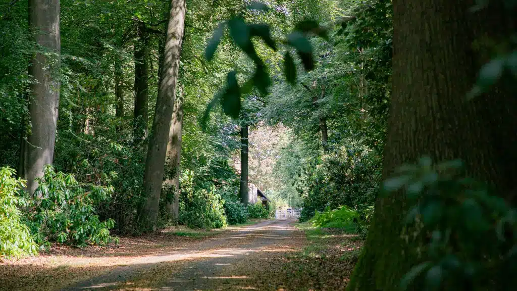 Berkhamsted Estate - Multi use film site - build space, unit base, private roads 4