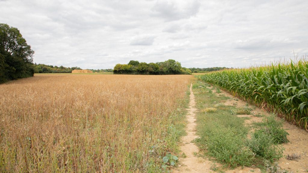 Berkhamsted Estate - Multi use film site - build space, unit base, private roads 4