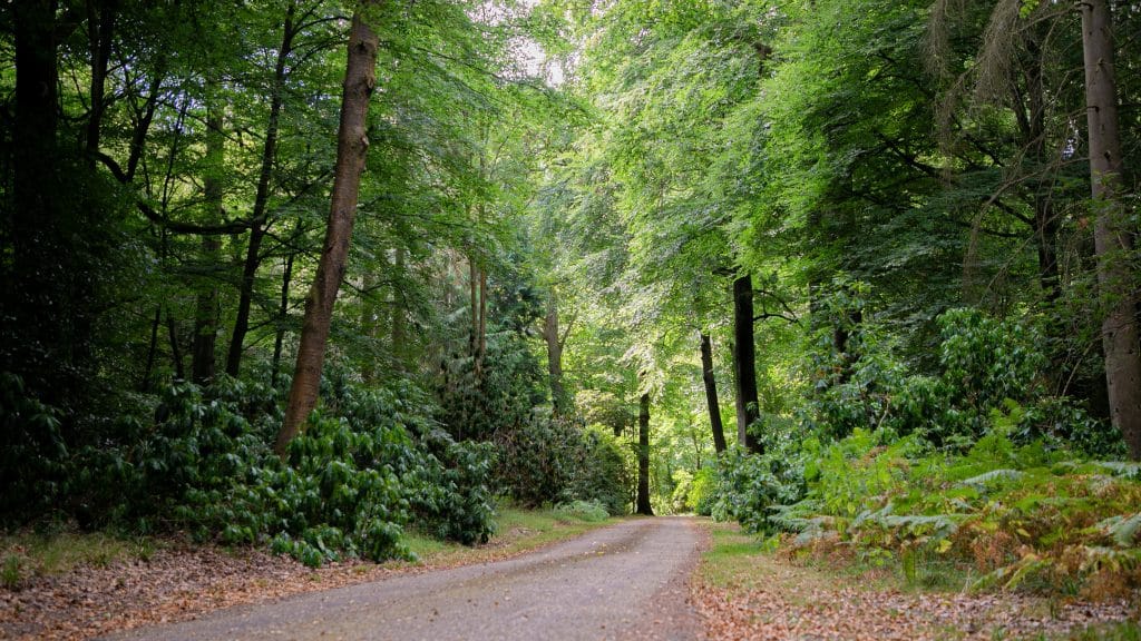 Berkhamsted Estate - Multi use film site - build space, unit base, private roads 5