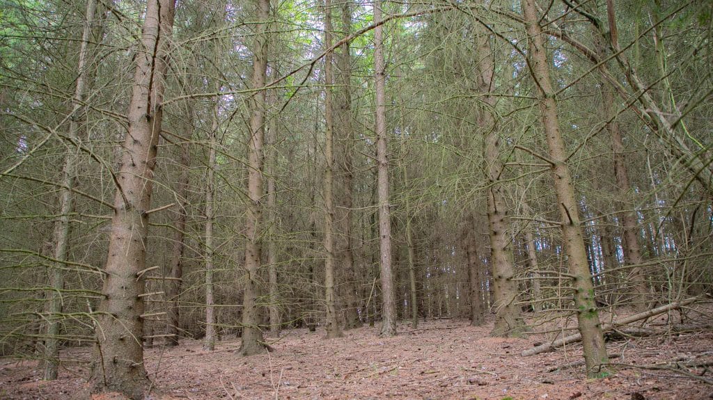 Berkhamsted Estate - Multi use film site - build space, unit base, private roads 6